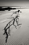 img 3036-nb3-Large-