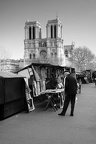 img 1167-nb-Large-