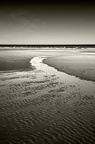 img 0216-nb-toned-Large-